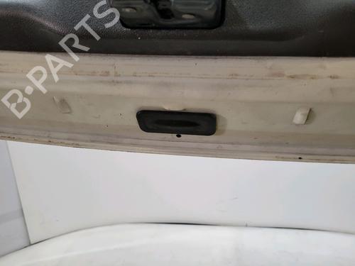 Tailgate RENAULT MEGANE III Hatchback (BZ0/1_, B3_) 1.5 dCi (BZ09, BZ0D, BZ1W, BZ29, BZ14) | BP29416917C6 
