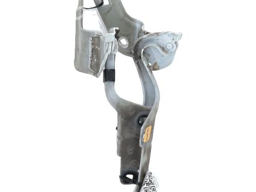 Used Hinge/Door check strap RENAULT CLIO III (BR0/1, CR0/1) [2005-2014]  27908684