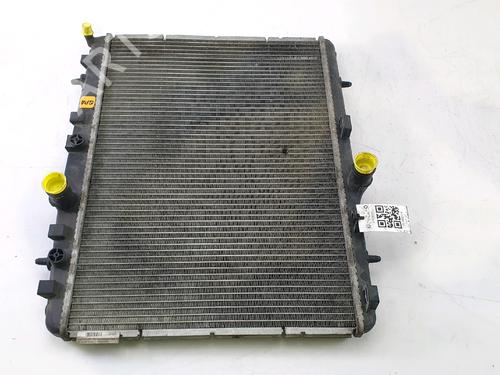Used Water radiator RENAULT CLIO III (BR0/1, CR0/1) 1.5 dCi (75 hp) 30841836