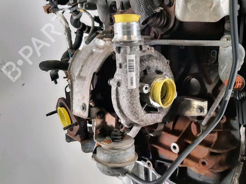 Engine RENAULT SCÉNIC III (JZ0/1_) 1.9 dCi (JZ0J, JZ1J, JZ1K, JZ1S) | BP33567560M1 - Image 6