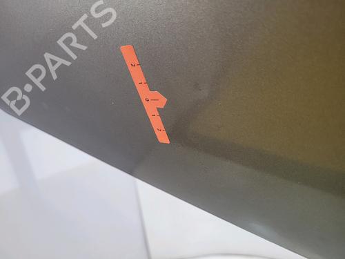 Hood RENAULT MEGANE II (BM0/1_, CM0/1_)  | BP25887377C1 