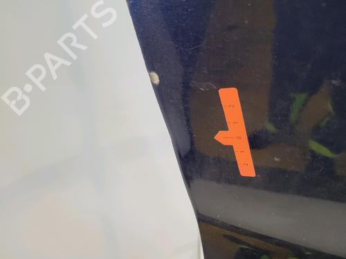 Right front door VW POLO V (6R1, 6C1) 1.6 TDI | BP31057844C3