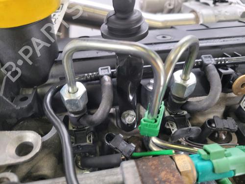 Engine RENAULT CLIO II (BB_, CB_)  | BP28310996M1 