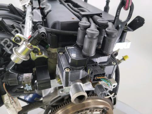 Engine FORD FIESTA V (JH_, JD_) 1.4 16V | BP28616567M1