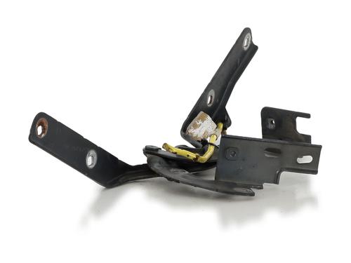 Hinge/Door check strap CITROËN C4 Picasso I MPV (UD_)  | BP27912334C146 