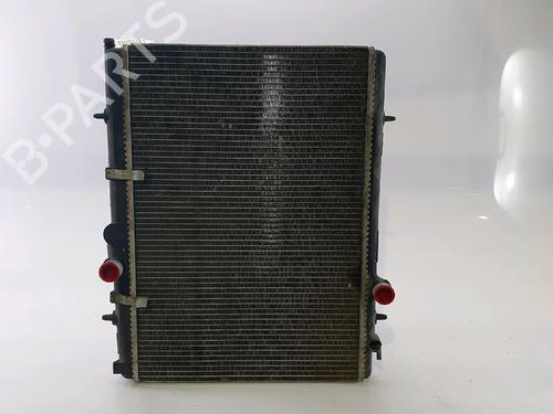 Used Water radiator PEUGEOT 206 Hatchback (2A/C) [1998-2012]  28137903