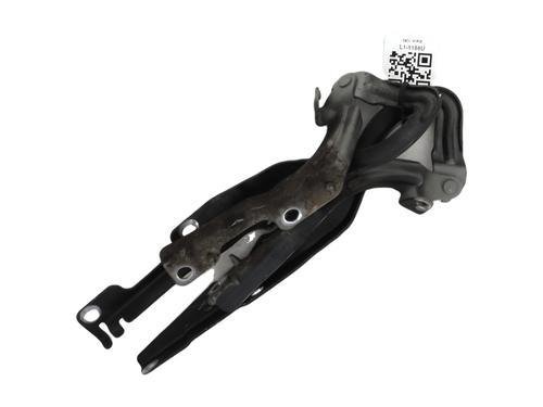 Used Hinge/Door check strap PEUGEOT 207 (WA_, WC_) 1.6 HDi 110 (112 hp) 29602763