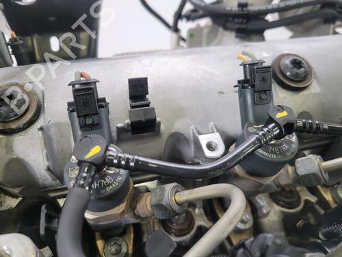 Engine RENAULT MEGANE II (BM0/1_, CM0/1_) 1.9 dCi (BM0G, CM0G) | BP30190319M1 