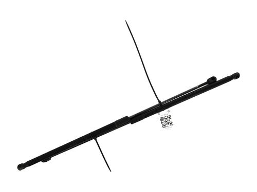 Used Tailgate lift support RENAULT MEGANE III Coupe (DZ0/1_) 1.4 TCe (DZ0F, DZ1V) (131 hp) 27904017