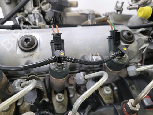 Engine RENAULT MEGANE III Coupe (DZ0/1_) 1.9 dCi (DZ0N, DZ0J, DZ1J, DZ1K) | BP29347173M1 