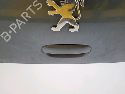Tailgate PEUGEOT 307 (3A/C) 1.6 16V | BP29874781C6 