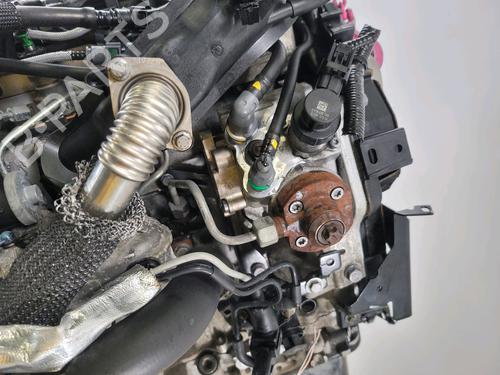 Engine FORD FIESTA VI (CB1, CCN) 1.4 TDCi | BP28160662M1 