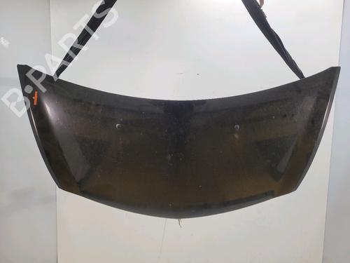 hood-renault-clio-iii-br01-cr01-2005-2006-2007-2008-2009-2010-2011-2012-2013-2014-32434537 main image