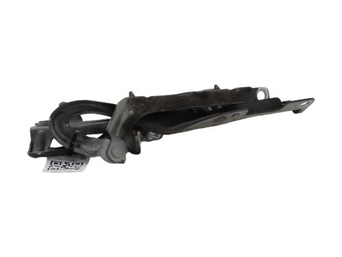 Hinge/Door check strap PEUGEOT 207 (WA_, WC_) 1.6 HDi 110 | BP29602763C146 