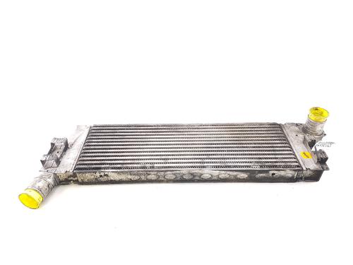 Used Intercooler RENAULT MEGANE II Saloon (LM0/1_) [2003-2025]  24871974