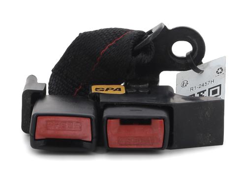 Sikkerhetsbelte-spenne RENAULT CLIO III (BR0/1, CR0/1) 1.5 dCi (BR17, CR17) (86 hp) 30054197