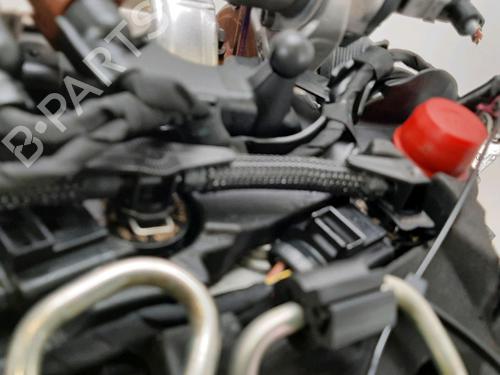 Engine VW GOLF VIII (CD1, DA1) 2.0 TDI | BP31085618M1 