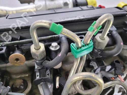 Engine RENAULT KANGOO Express (FC0/1_) 1.5 dCi | BP29552368M1 