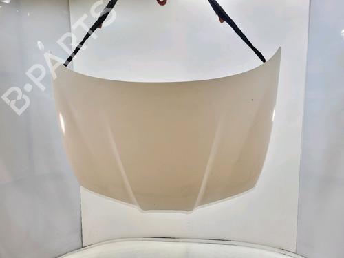 Used Hood SEAT CORDOBA (6L2) 1.4 TDI (70 hp) 30049035