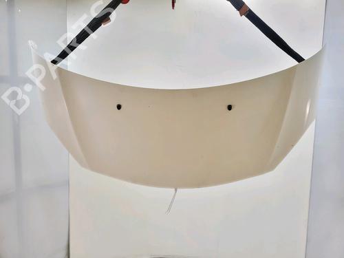 hood-citroen-c3-ii-sc_-2009-36962408 main image