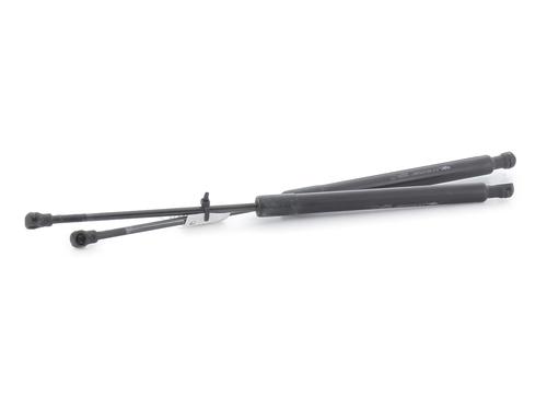 Tailgate lift support CITROËN C3 II (SC_) 1.4 HDi 70 (SC8HZC, SC8HR0, SC8HP4) | BP31661821C138