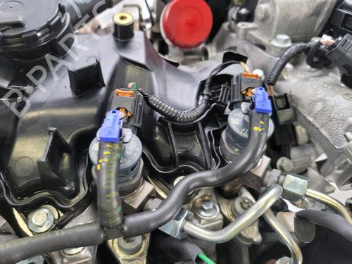 Engine RENAULT MEGANE IV Grandtour (K9A/M/N_) 1.5 Blue dCi 115 (K9A6) | BP29701917M1 