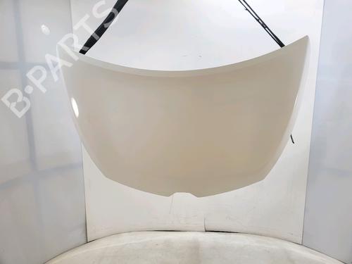 Used Hood Hood RENAULT CLIO IV (BH_) 1.5 dCi 75 (75 hp) 33926400 33926400