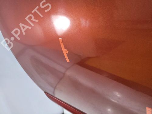 Left front door DACIA SANDERO  | BP26228280C2