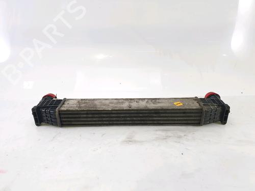 Used Intercooler SEAT ALHAMBRA (7V8, 7V9) 1.9 TDI (110 hp) 25453304
