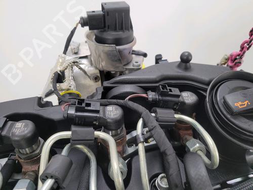 Engine SEAT IBIZA IV (6J5, 6P1) 1.6 TDI | BP28533909M1