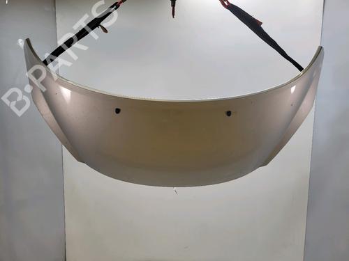 Used Hood PEUGEOT 207 (WA_, WC_) 1.4 HDi (68 hp) 29988004