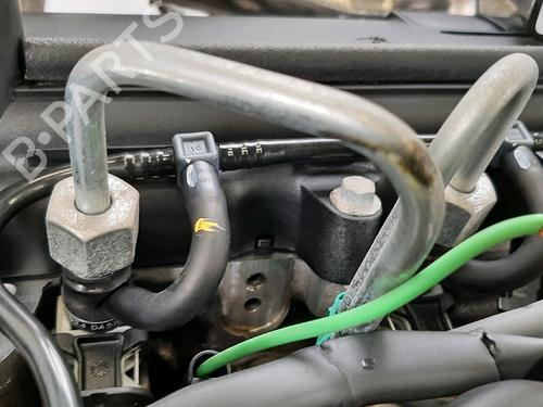 Engine RENAULT MODUS / GRAND MODUS (F/JP0_) 1.5 dCi (FP0F, JP0F) | BP30982502M1 