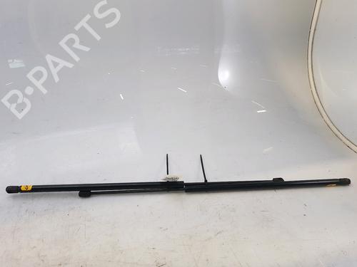 Used Tailgate lift support PEUGEOT PARTNER MPV (5_, G_) 2.0 HDI (90 hp) 27916934