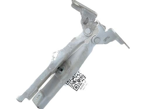 hingedoor-check-strap-citroen-c3-ii-sc_-2009-32152579 main image