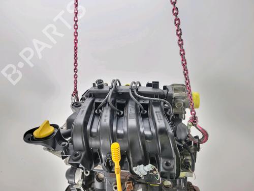 Engine RENAULT CLIO III (BR0/1, CR0/1) 1.2 16V (BR02, BR0J, BR11, CR02, CR0J, CR11) | BP29389734M1 