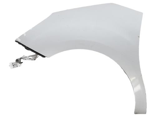 left-front-fenders-citroen-c3-ii-sc_-2009-36945919 main image