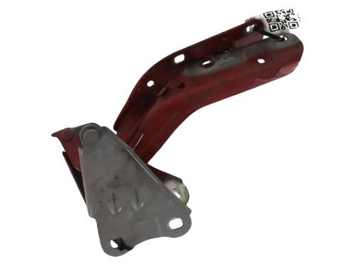 Used Hinge/Door check strap RENAULT TWINGO II (CN0_) 1.6 RS (CN0N, CN0R, CN0S) (133 hp) 28137851