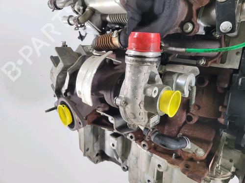 Engine RENAULT TWINGO II (CN0_) 1.5 dCi 75 | BP30716194M1