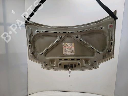 Hood FIAT PANDA (169_) 1.2 (169AXF2A, 169AXF1A) | BP30632789C1