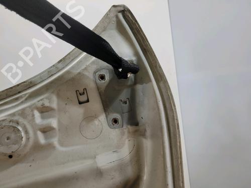 Hood RENAULT MEGANE III Hatchback (BZ0/1_, B3_) 1.5 dCi (BZ09, BZ0D, BZ1W, BZ29, BZ14) | BP29522819C1 