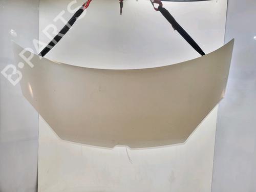 Used Hood Hood 37483698 37483698