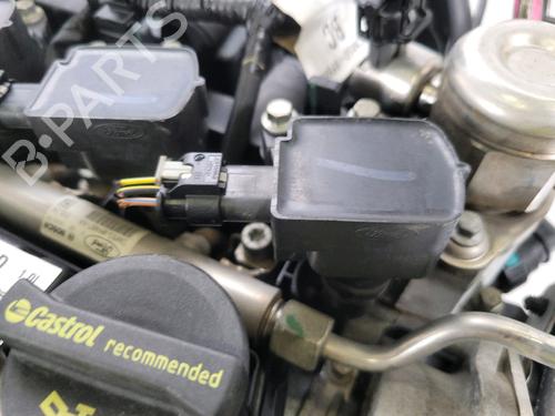 Motor FORD FIESTA VI (CB1, CCN) 1.0 EcoBoost | BP29762070M1 