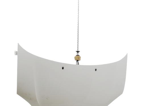 Used Hood RENAULT TWINGO III (BCM_, BCA_) 1.0 SCe 70 (71 hp) 29988183