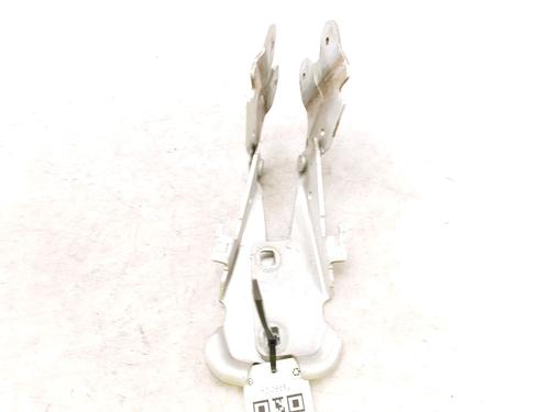 Hinge/Door check strap RENAULT LAGUNA II Grandtour (KG0/1_) 1.9 dCi (KG1V) | BP27919501C146 