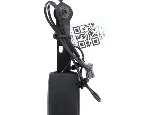 Seat buckle FIAT PUNTO (199_) 0.9 | BP29198571I32 