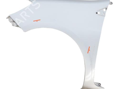 Used Left front fenders RENAULT CLIO III (BR0/1, CR0/1) 1.5 dCi (BR0H, CR0H, CR1S, BR1S) (106 hp) 29695752