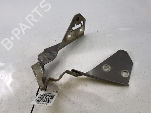 Hinge/Door check strap RENAULT MEGANE II Coupé-Cabriolet (EM0/1_) 1.9 dCi | BP27919364C146 
