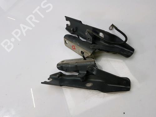 Hinge/Door check strap BMW 5 (E60) 525 d | BP27919395C146 