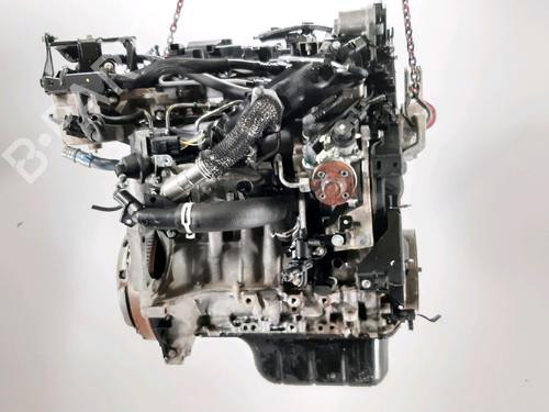 Engine FORD FIESTA VI (CB1, CCN) 1.4 TDCi | BP31875819M1