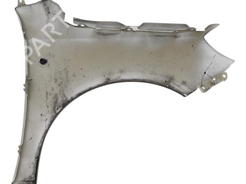 Left front fenders SKODA FABIA II (542) 1.6 TDI | BP29623780C41